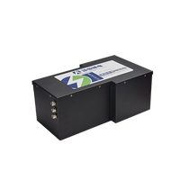Dingheng Nzmix Mzmix lossless straight up large capacity high endurance electric vehicle lithium iron phosphate battery
