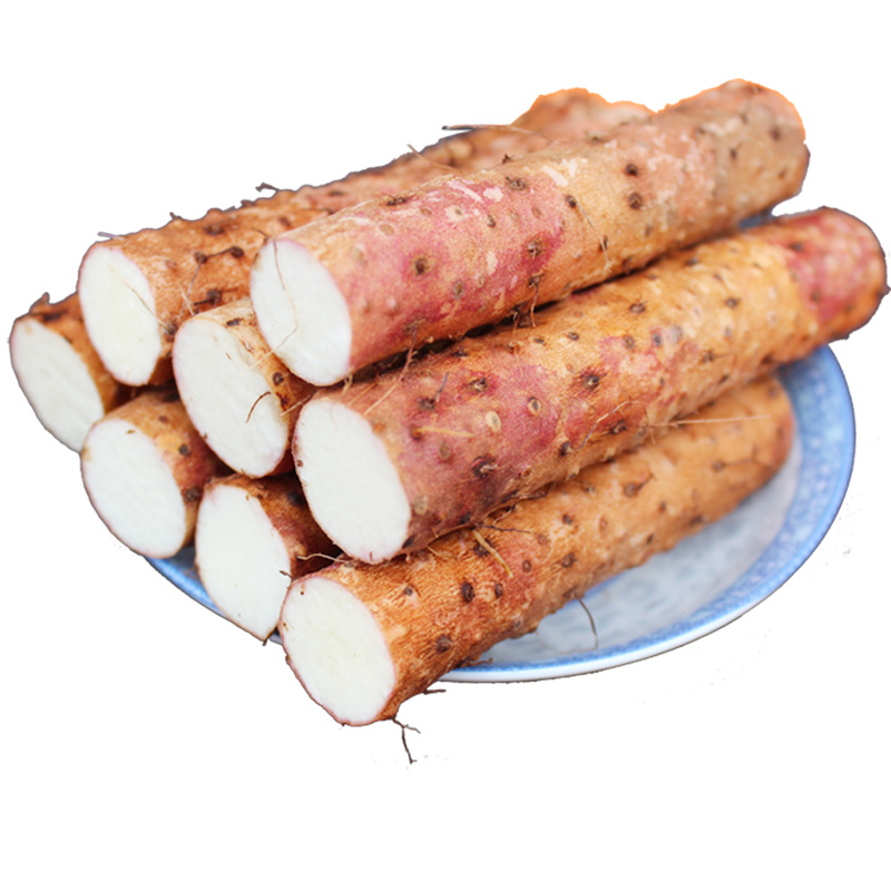 Iron rod yam fresh Henan Jiaozuo iron rod pregnant yam