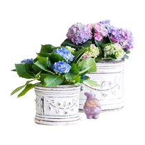 Pot rétro Hongyu pour vieux patient fleur jardin percée soleil résistance au soleil plante intérieure balcon pot décoration pot fleur