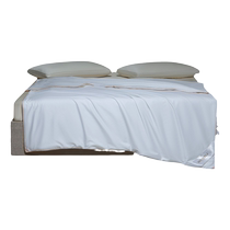 Wensli 100% mulberry silk comfortable and warm all-season quilt close-fitting silk quilt G20 series