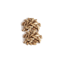 葫芦苗秧子种孑天然特大小种子宝葫芦籽文玩手捻观赏阳台藤蔓巨型