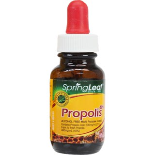Australian Springleaf green fu black propolis drops to relieve oral problems wound healing alcohol-free