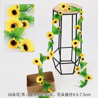 28 Солнце Цветочная лоза