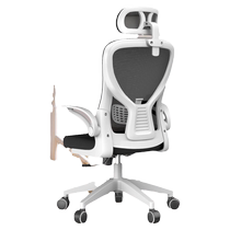 Beizhaisen computer chair home study chair office chair student dormitory comfortable lifting swivel chair e-sports chair
