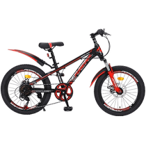 Shanghai Forever Cycling Bicycle Childrens Mountain Bicycle 6-10 years old and above for middle-aged and older boys student bicycle 22 inches