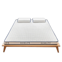 Coussin de matelas en Latex pour la maison lit double tatami personnalisé Simmons location dure tapis de couchage en éponge