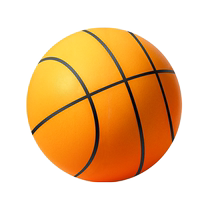 Silent Basketball Silent Indoor Training Sponge Racket Ball Elastic Ball No. 7 No. 5 Non-shedding Childrens Toy 2430