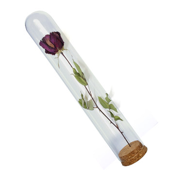 Dried flower glass cover cork storage ornament glass bottle