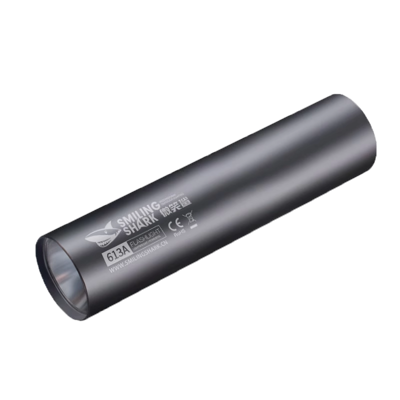 Strong light portable mini flashlight | 232 people collected it
