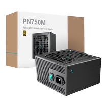 Kyushu Fengshen PN750M Gold Medal Full Module ATX3 1 Computer Power Supply Rated 850W Desktop Silent ATX