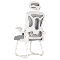 Computer chair home sedentary comfortable ergonomic back chair study desk bedroom dormitory study office chair