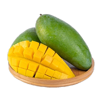 Fresh Mango Daqingmang Jinhuangmang 5 8 pounds fresh Yunnan tropical fruit (ripened for consumption)