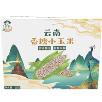 Hegugu Yunnan Xishuangbanna small flower waxy corn small fragrant waxy corn 2kg soft waxy and sweet grains are full