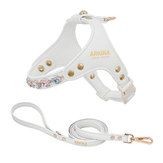 ARKIKA dog small dog chest and back leash