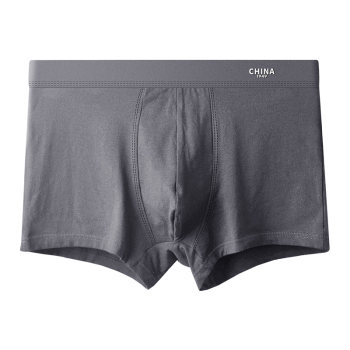 Antarctica ອາຍຸກາງແລະຜູ້ສູງອາຍຸ dad underwear ຜູ້ຊາຍຂອງຜູ້ຊາຍ modal ຝ້າຍ crotch ຜູ້ຊາຍ grandpa boxer ສັ້ນ