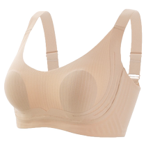 普拉提训练服女兔耳朵文胸运动健身防震无痕内衣防下垂收副乳聚拢