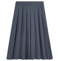 Gray pleated skirt for women spring and autumn new style high waist drape suit skirt that covers the crotch and looks slimming mid-length a-line umbrella skirt