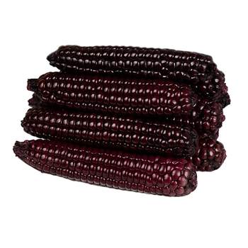 Xishuangbanna purple glutinous thumb corn