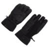 42 Ski 2526 New OAKLEY Oakley Ski Gloves Single and Double Snowboard Equipment Stew