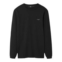 HLA/Heilan House light business fashion long-sleeved T-shirt 24 spring and summer new letter inner bottoming top for men