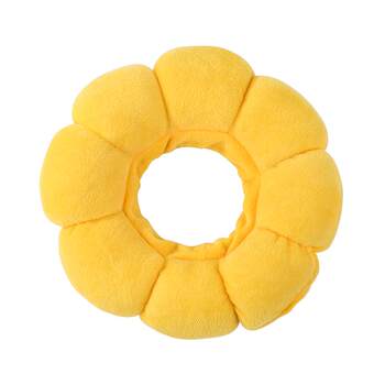 Elizabeth circle cat sterilization collar