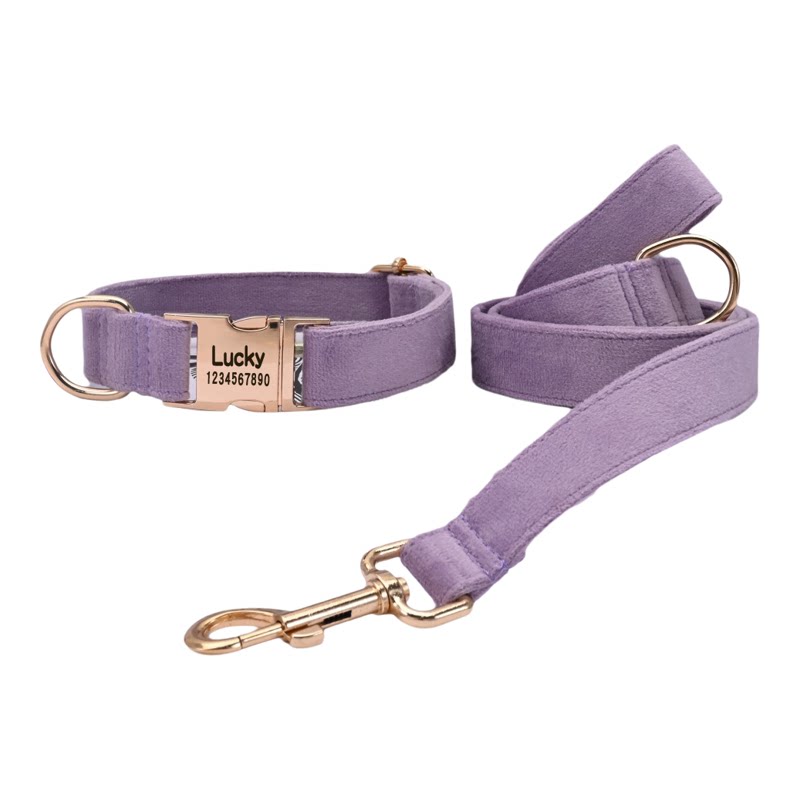 Neck collar traction rope engraved anti-lost collar