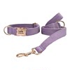 Neck collar traction rope engraved anti-lost collar