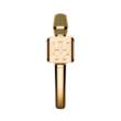 Wireless home outdoor microphone audio integrated microphone