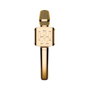 Wireless home outdoor microphone audio integrated microphone