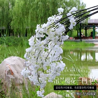 Hanglan Cherry Blossom White