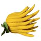 Jinhua bergamot, bergamot fruit, golden bergamot, open bergamot for display in water