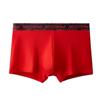 Cat Mans Life Year Mens Underwear Boys Big Rough Cotton Mens Flat Shorts Is The Tiger Rabbits Wedding Gift