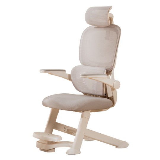 Aigole Youth Learning Chair Ergonomic Chair