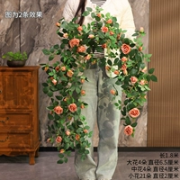 Розовый розовый кофейный цвет бриллиантовой розовой розовой