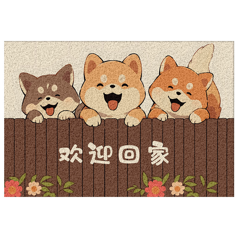 Cartoon entry door dust-removing silk circle floor mat