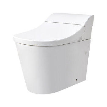 Kohler smart toilet