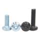 Level 10.9 Hexagonal Round Head with Pad Screw High Strength