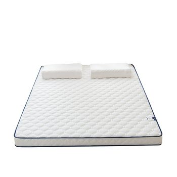 ຢາງພາລາ mattress soft cushion ເຮືອນຫໍພັກນັກສຶກສາດຽວ tatami mat sponge mattress ເສື່ອພັບພິເສດໃຫ້ເຊົ່າ