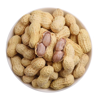 New arrival of small pearl peanuts with shells, large nuts, roasted seeds and nuts, snacks, crispy and pocketable, ready for delivery