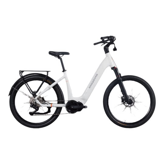 XINGQIDONG mid-mounted electric-assisted bicycle