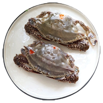 Authentic Zhoushan red paste choking crab raw pickled crab drunken crab sauce crab sauce female crab Ningbo special salty choking crab airplane crab paste soy sauce