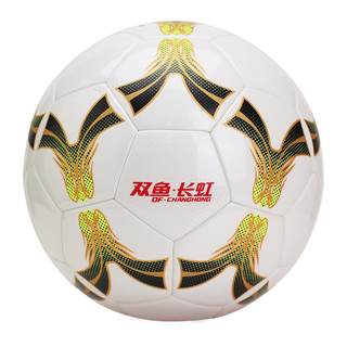 Pisces football high school entrance examination standard ball no. 4 no. 5 ball examination