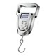 Royalstar portable electronic scale portable high-precision household small grocery shopping scale spring scale luggage weighing commercial