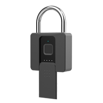 Smart Fingerprint Padlock Anti-theft Outdoor Waterproof Rustproof Home Rural Gate Yard Door Password Yard Door Lock