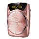 Liqin bluetooth microphone playback amplifier teacher