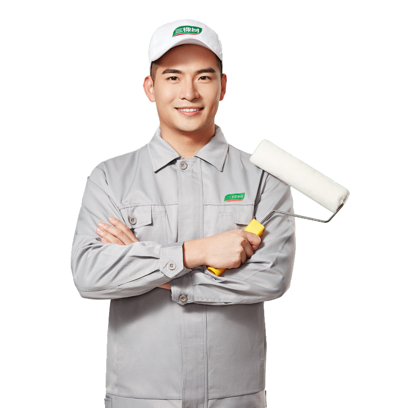 Three Trees Immediate Live Painting Service Latex Paint House Partial Renovation Wall Decoration Old House Renovation and Painting