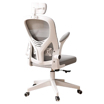 Zhuohe (furniture) computer chair home comfortable sedentary staff swivel chair comfortable learning backrest ergonomic chair