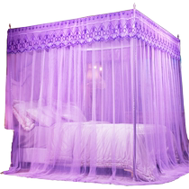 Palace mosquito net 2024 new home summer installation-free bedroom floor-standing bracket three-door princess style encryption