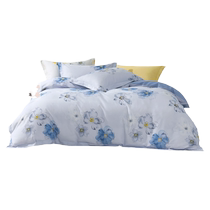 Mercury Home Textiles Cotton Four-piece Set 100 Pure Cotton Set Simple Home Sheets Quilt Cover Bedding 24 New Products