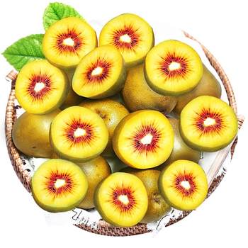 Authentic sichuan red kiwi fruit